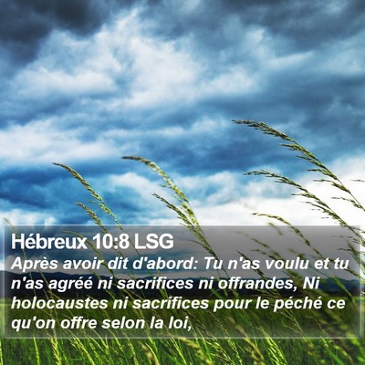 Hébreux 10:8 LSG Bible Verse Image