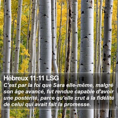 Hébreux 11:11 LSG Bible Verse Image