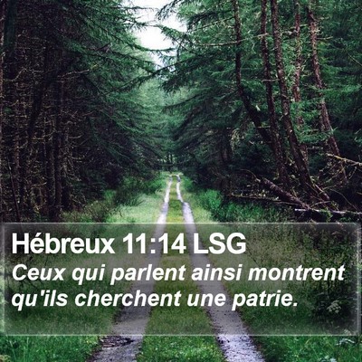Hébreux 11:14 LSG Bible Verse Image