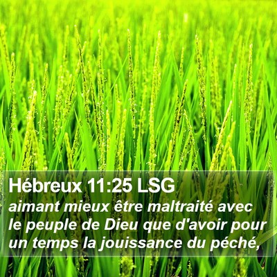 Hébreux 11:25 LSG Bible Verse Image