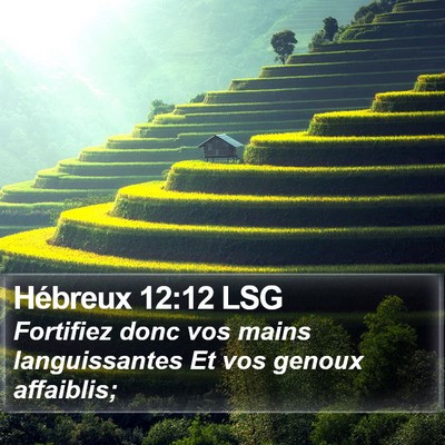 Hébreux 12:12 LSG Bible Verse Image