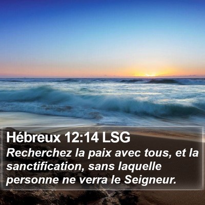 Hébreux 12:14 LSG Bible Verse Image