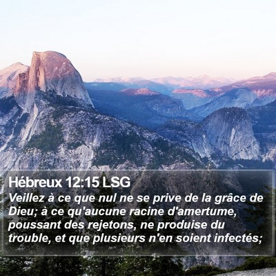 Hébreux 12:15 LSG Bible Verse Image