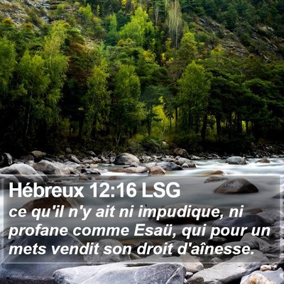 Hébreux 12:16 LSG Bible Verse Image