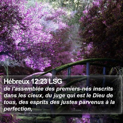 Hébreux 12:23 LSG Bible Verse Image