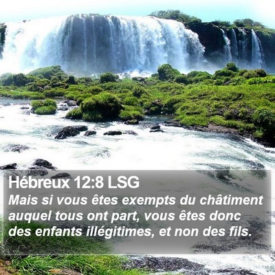 Hébreux 12:8 LSG Bible Verse Image