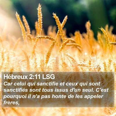 Hébreux 2:11 LSG Bible Verse Image
