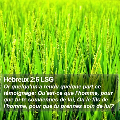 Hébreux 2:6 LSG Bible Verse Image