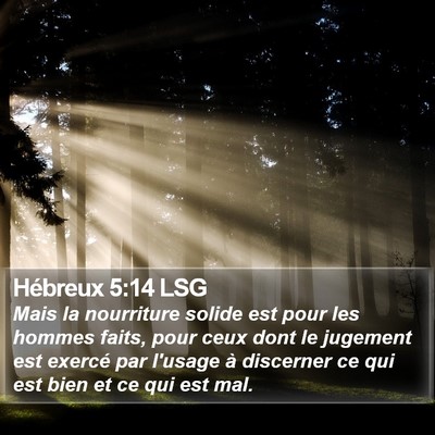 Hébreux 5:14 LSG Bible Verse Image
