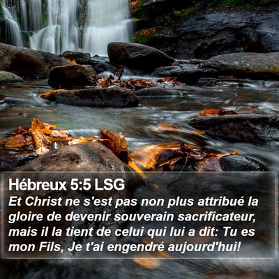 Hébreux 5:5 LSG Bible Verse Image