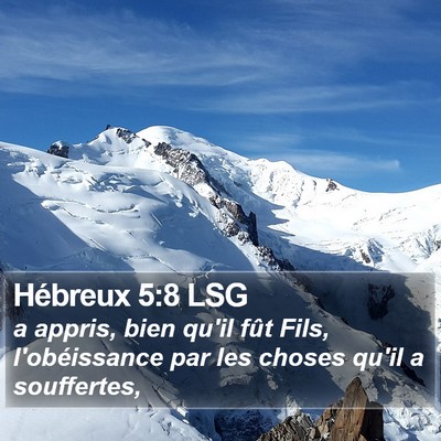 Hébreux 5:8 LSG Bible Verse Image