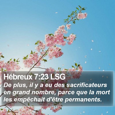 Hébreux 7:23 LSG Bible Verse Image