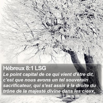 Hébreux 8:1 LSG Bible Verse Image
