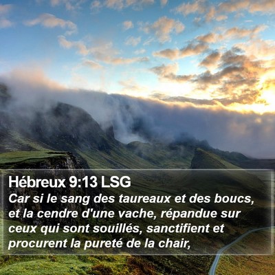 Hébreux 9:13 LSG Bible Verse Image