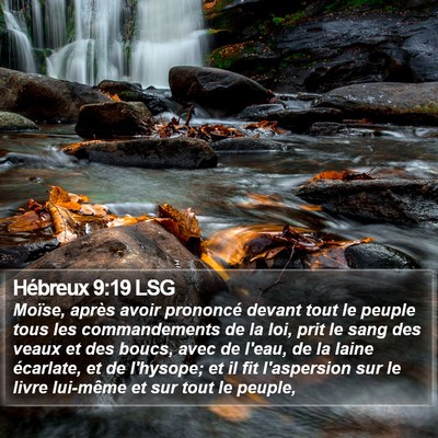 Hébreux 9:19 LSG Bible Verse Image