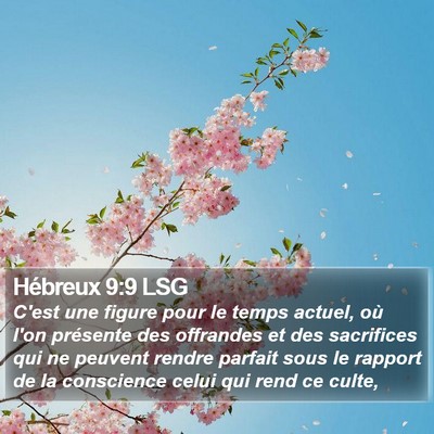 Hébreux 9:9 LSG Bible Verse Image