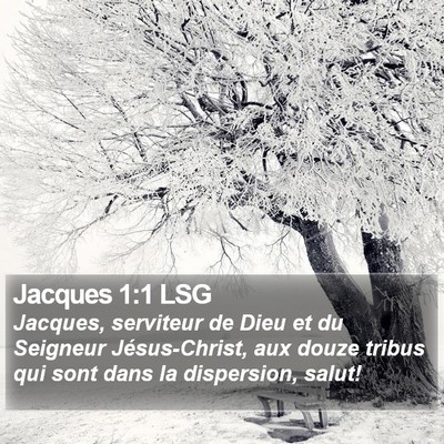 Jacques 1:1 LSG Bible Verse Image
