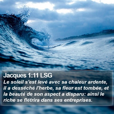 Jacques 1:11 LSG Bible Verse Image