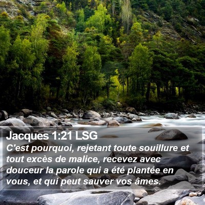 Jacques 1:21 LSG Bible Verse Image