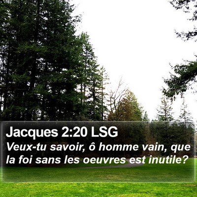 Jacques 2:20 LSG Bible Verse Image