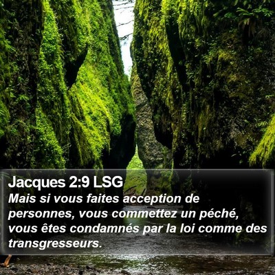 Jacques 2:9 LSG Bible Verse Image