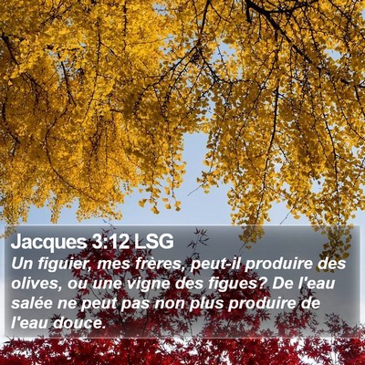 Jacques 3:12 LSG Bible Verse Image