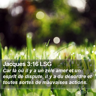 Jacques 3:16 LSG Bible Verse Image