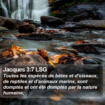 Jacques 3:7 LSG Bible Verse Image