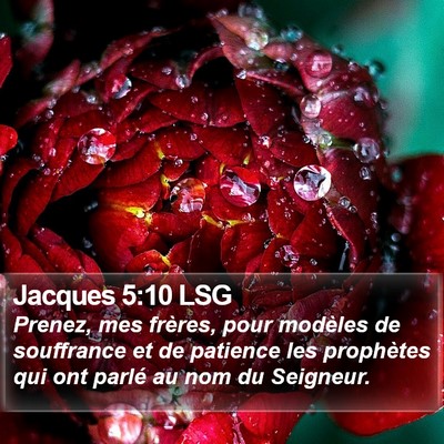 Jacques 5:10 LSG Bible Verse Image