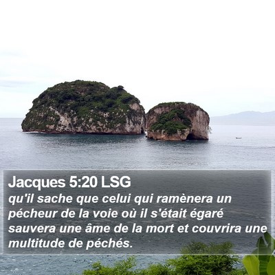 Jacques 5:20 LSG Bible Verse Image