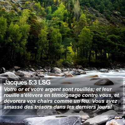 Jacques 5:3 LSG Bible Verse Image