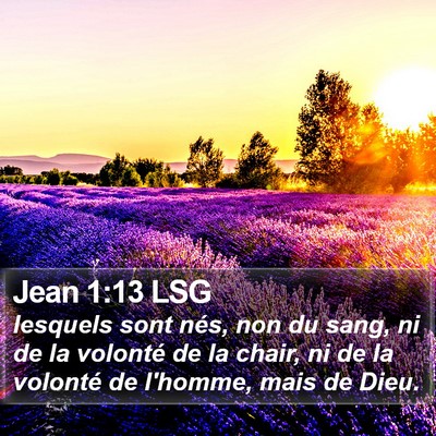Jean 1:13 LSG Bible Verse Image