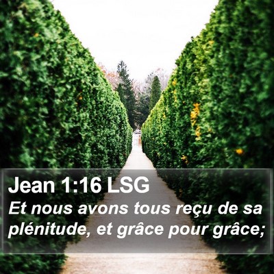 Jean 1:16 LSG Bible Verse Image