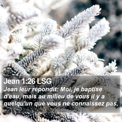 Jean 1:26 LSG Bible Verse Image