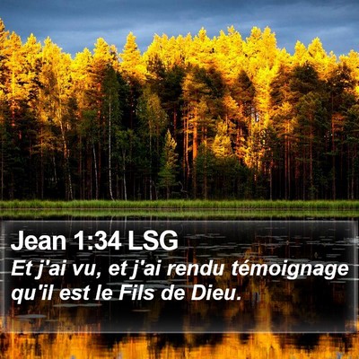 Jean 1:34 LSG Bible Verse Image