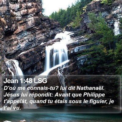 Jean 1:48 LSG Bible Verse Image