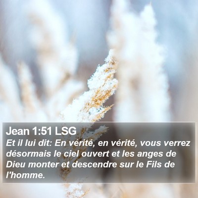Jean 1:51 LSG Bible Verse Image