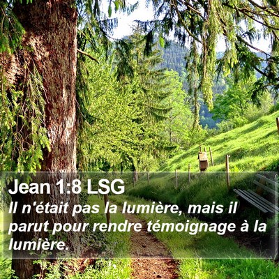 Jean 1:8 LSG Bible Verse Image