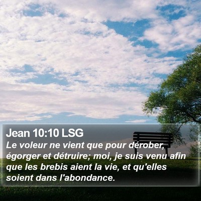 Jean 10:10 LSG Bible Verse Image