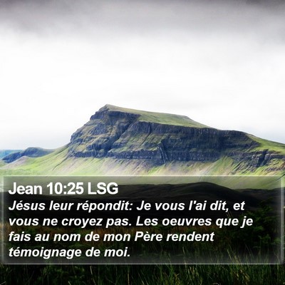 Jean 10:25 LSG Bible Verse Image