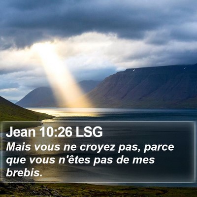 Jean 10:26 LSG Bible Verse Image