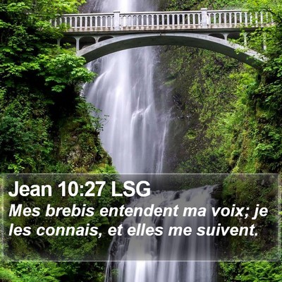 Jean 10:27 LSG Bible Verse Image