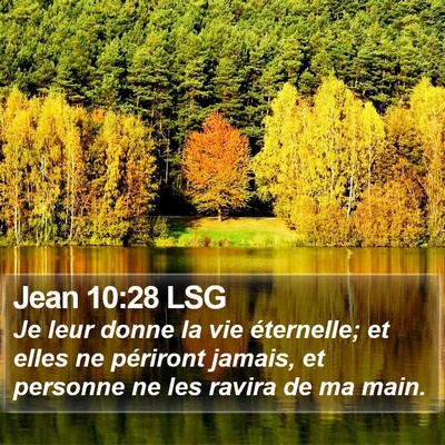 Jean 10:28 LSG Bible Verse Image