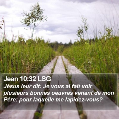 Jean 10:32 LSG Bible Verse Image
