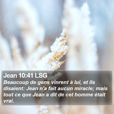 Jean 10:41 LSG Bible Verse Image