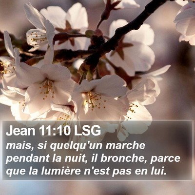 Jean 11:10 LSG Bible Verse Image