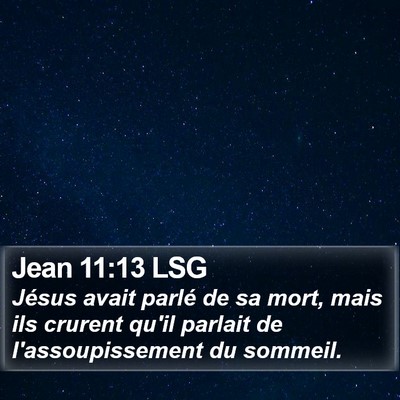 Jean 11:13 LSG Bible Verse Image