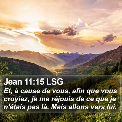 Jean 11:15 LSG Bible Verse Image