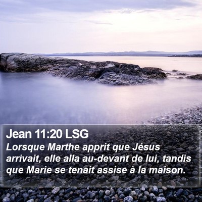 Jean 11:20 LSG Bible Verse Image