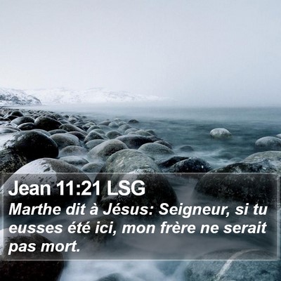 Jean 11:21 LSG Bible Verse Image